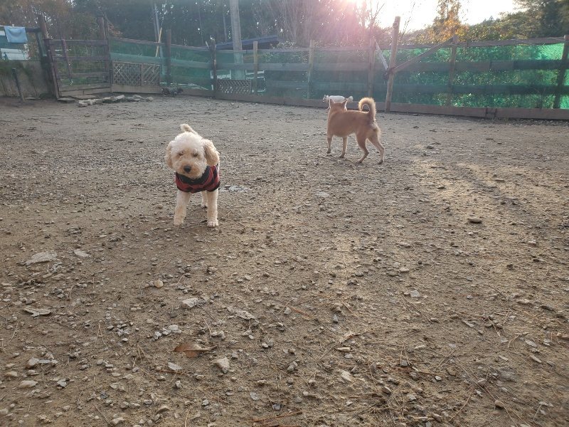 f:id:roukenhome-ann:20191214071011j:plain f:id:roukenhome-ann:20191214071011j:plain