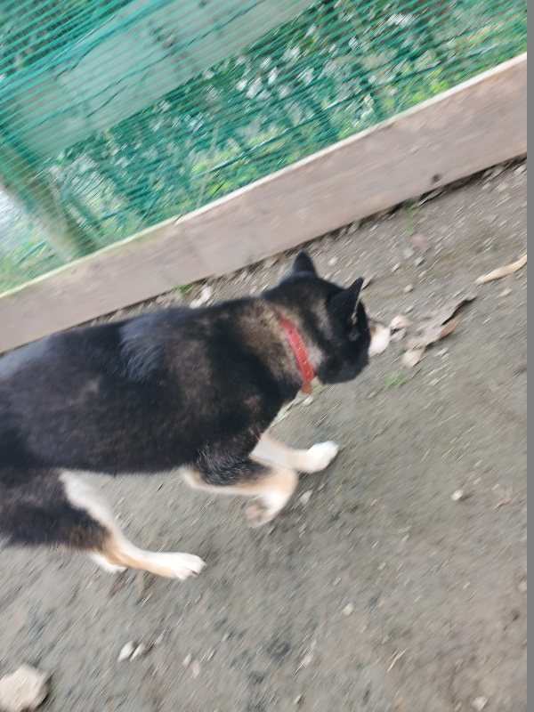 f:id:roukenhome-ann:20191214071023j:plain f:id:roukenhome-ann:20191214071023j:plain