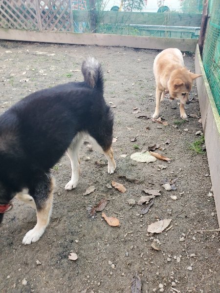 f:id:roukenhome-ann:20191214071032j:plain f:id:roukenhome-ann:20191214071032j:plain