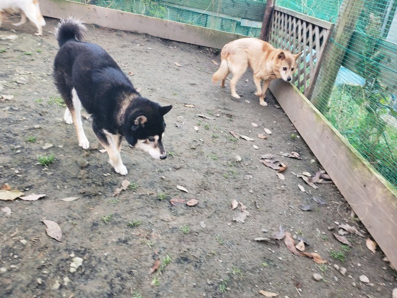 f:id:roukenhome-ann:20191214071049j:plain f:id:roukenhome-ann:20191214071049j:plain