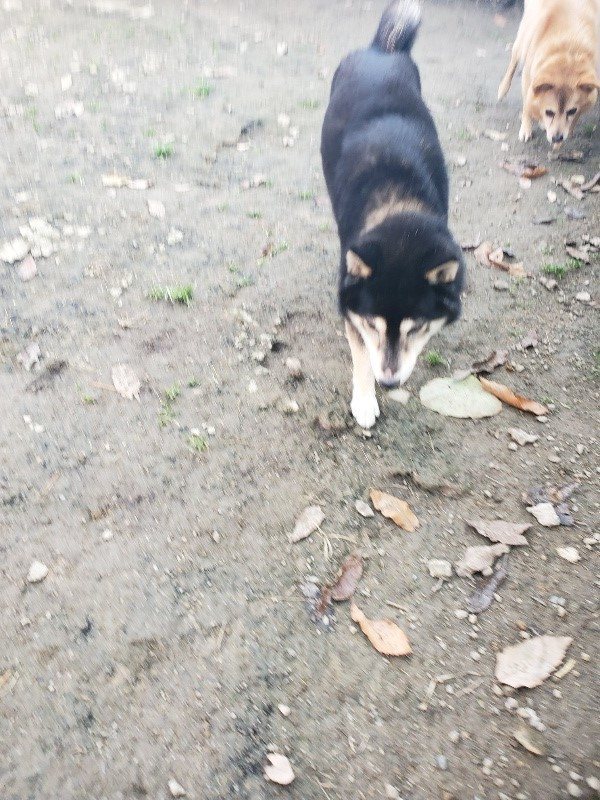 f:id:roukenhome-ann:20191214071058j:plain f:id:roukenhome-ann:20191214071058j:plain