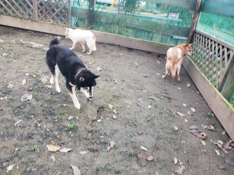 f:id:roukenhome-ann:20191214071130j:plain f:id:roukenhome-ann:20191214071130j:plain