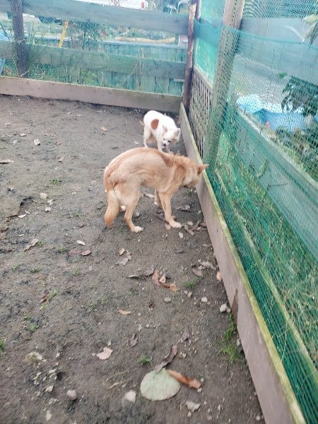 f:id:roukenhome-ann:20191214071139j:plain f:id:roukenhome-ann:20191214071139j:plain