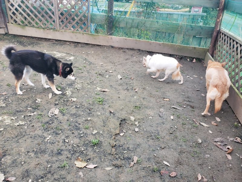 f:id:roukenhome-ann:20191214071157j:plain f:id:roukenhome-ann:20191214071157j:plain