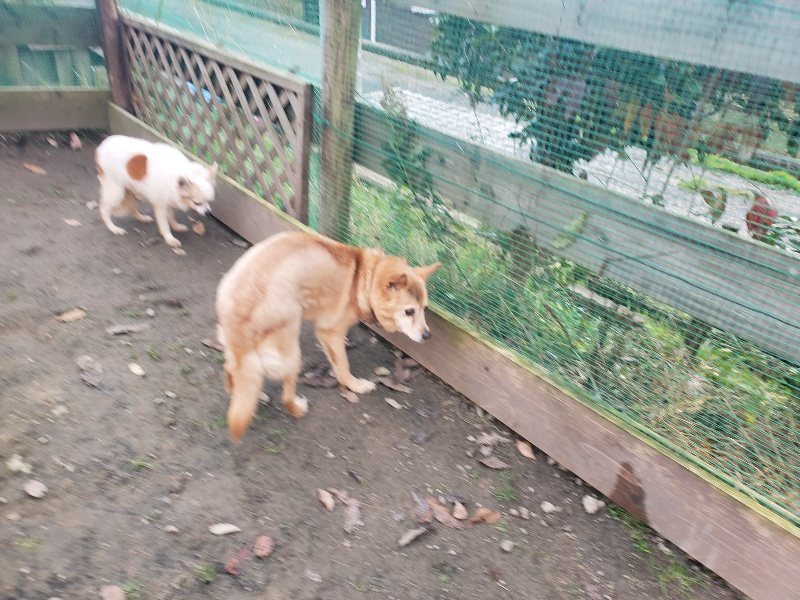 f:id:roukenhome-ann:20191214071215j:plain f:id:roukenhome-ann:20191214071215j:plain
