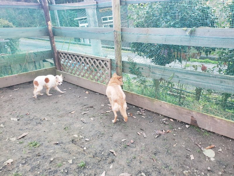 f:id:roukenhome-ann:20191214071225j:plain f:id:roukenhome-ann:20191214071225j:plain