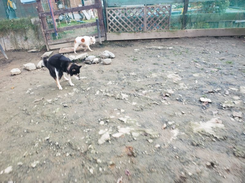 f:id:roukenhome-ann:20191214071426j:plain f:id:roukenhome-ann:20191214071426j:plain