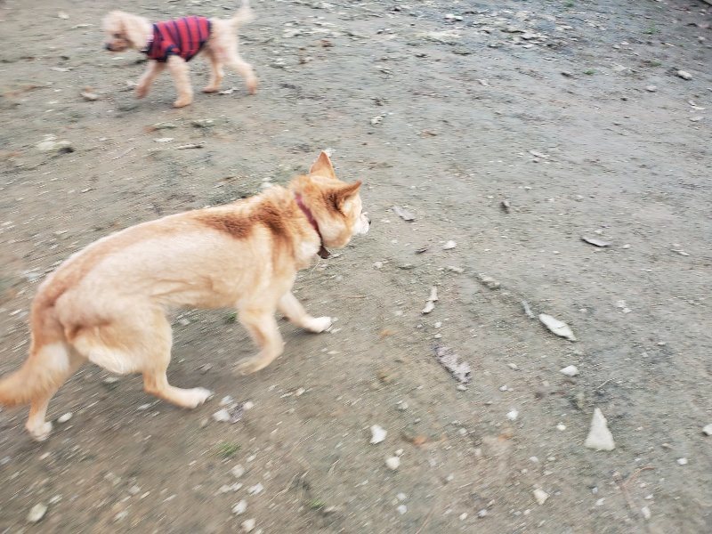 f:id:roukenhome-ann:20191214071436j:plain f:id:roukenhome-ann:20191214071436j:plain