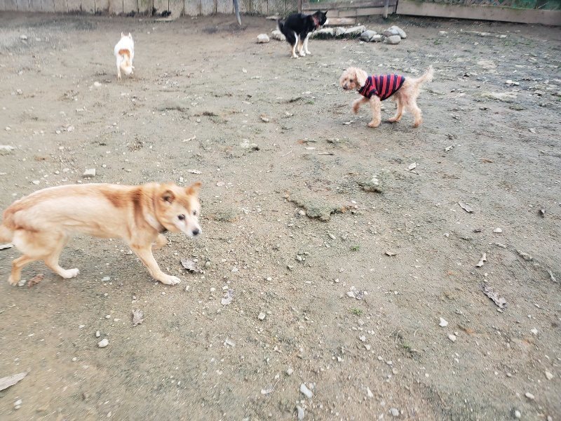f:id:roukenhome-ann:20191214071443j:plain f:id:roukenhome-ann:20191214071443j:plain