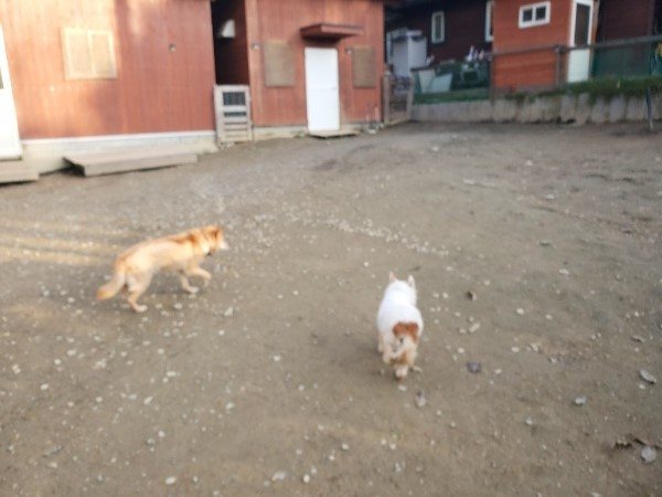 f:id:roukenhome-ann:20191214071448j:plain f:id:roukenhome-ann:20191214071448j:plain