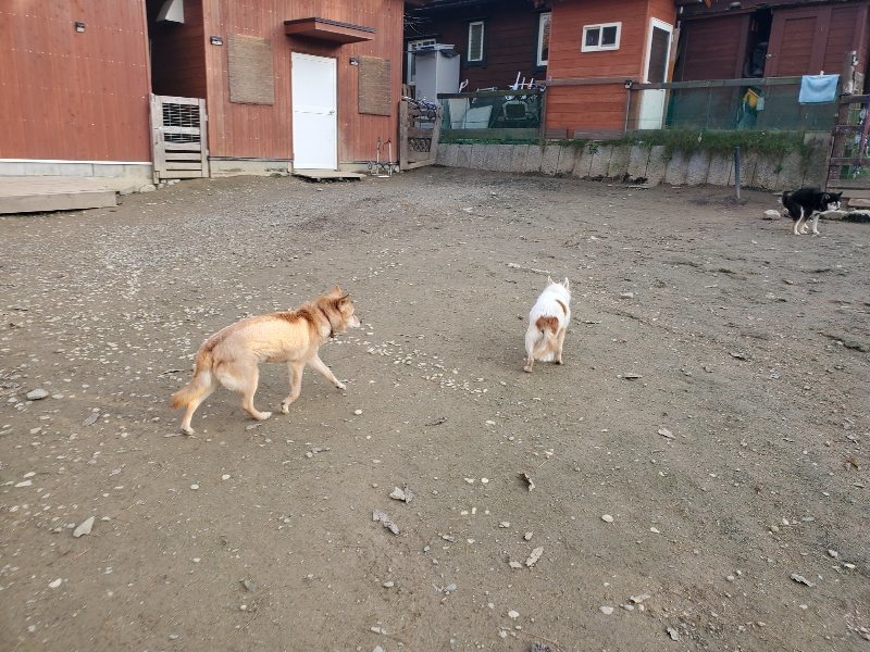 f:id:roukenhome-ann:20191214071501j:plain f:id:roukenhome-ann:20191214071501j:plain