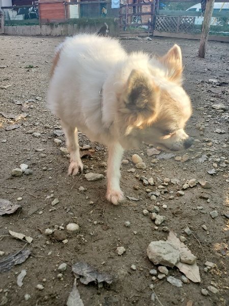 f:id:roukenhome-ann:20191214071538j:plain f:id:roukenhome-ann:20191214071538j:plain