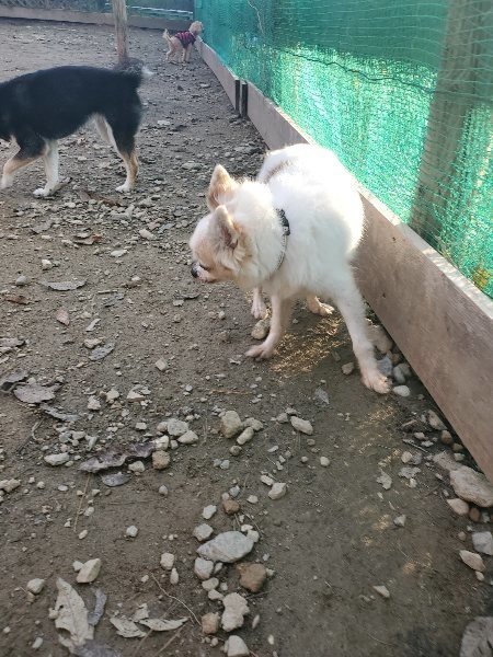 f:id:roukenhome-ann:20191214071600j:plain f:id:roukenhome-ann:20191214071600j:plain