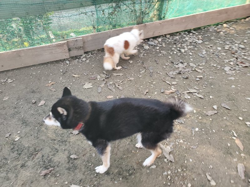 f:id:roukenhome-ann:20191214071610j:plain f:id:roukenhome-ann:20191214071610j:plain