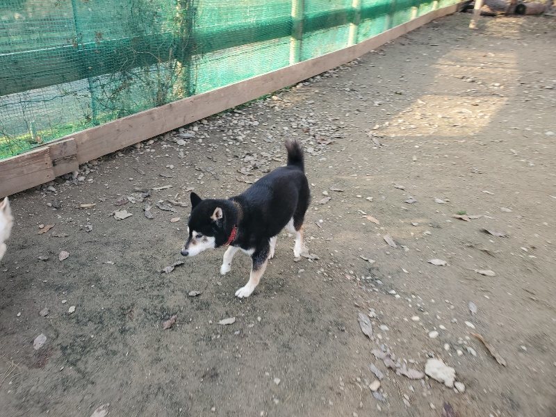 f:id:roukenhome-ann:20191214071626j:plain f:id:roukenhome-ann:20191214071626j:plain