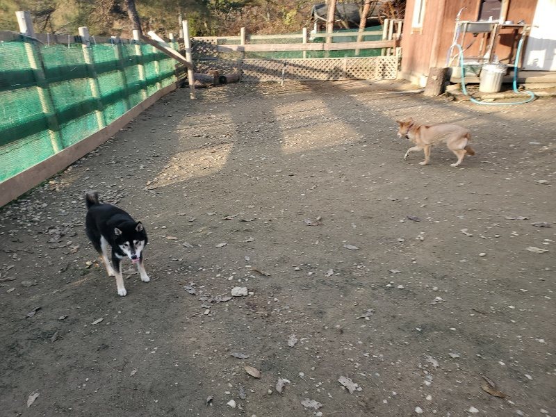f:id:roukenhome-ann:20191214071658j:plain f:id:roukenhome-ann:20191214071658j:plain