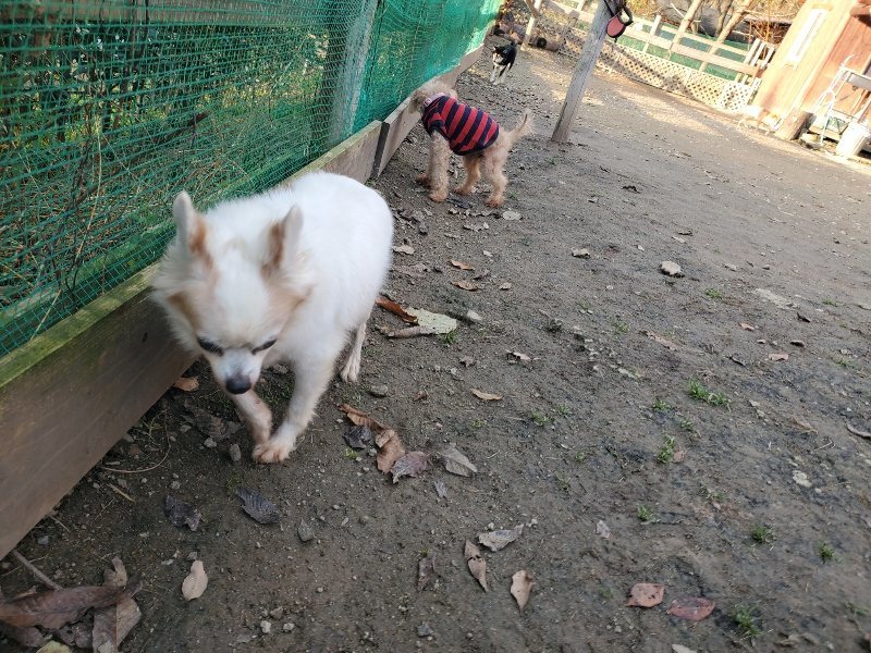 f:id:roukenhome-ann:20191214071711j:plain f:id:roukenhome-ann:20191214071711j:plain