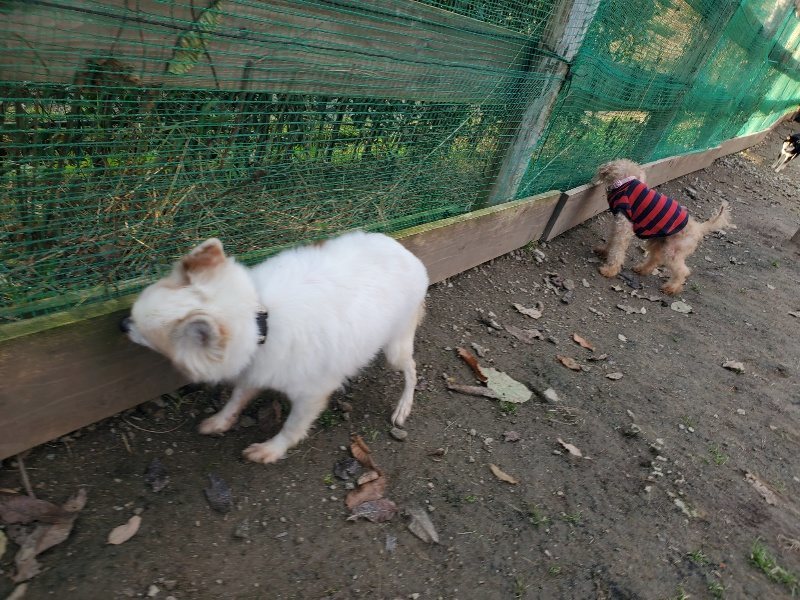 f:id:roukenhome-ann:20191214071732j:plain f:id:roukenhome-ann:20191214071732j:plain