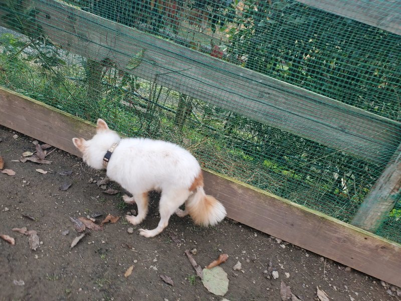 f:id:roukenhome-ann:20191214071807j:plain f:id:roukenhome-ann:20191214071807j:plain