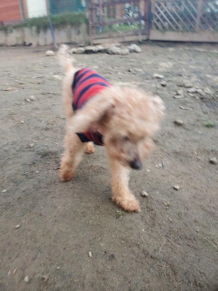 f:id:roukenhome-ann:20191214071825j:plain f:id:roukenhome-ann:20191214071825j:plain
