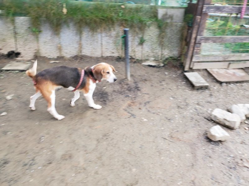 f:id:roukenhome-ann:20191214071942j:plain f:id:roukenhome-ann:20191214071942j:plain