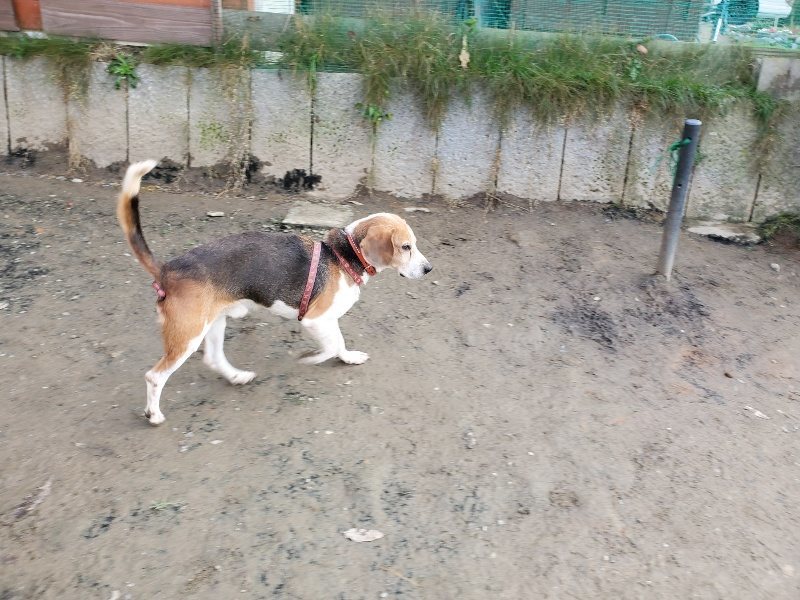 f:id:roukenhome-ann:20191214071957j:plain f:id:roukenhome-ann:20191214071957j:plain