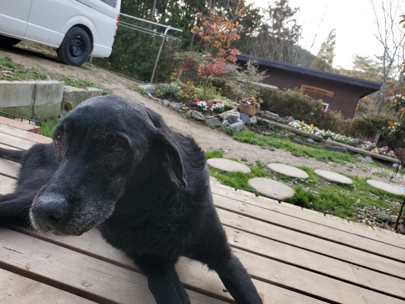 f:id:roukenhome-ann:20191214072146j:plain f:id:roukenhome-ann:20191214072146j:plain