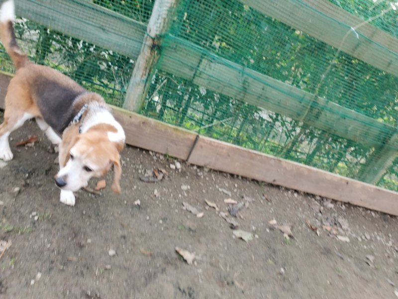 f:id:roukenhome-ann:20191214072220j:plain f:id:roukenhome-ann:20191214072220j:plain