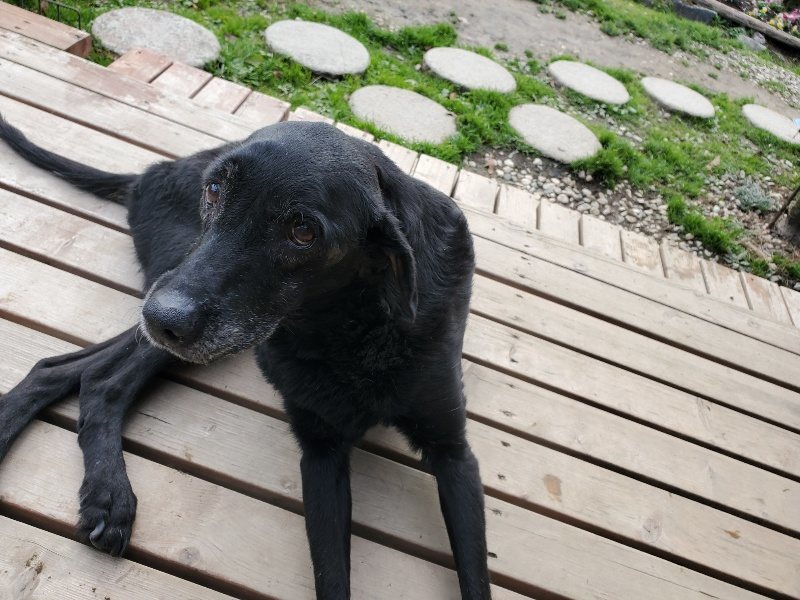 f:id:roukenhome-ann:20191214072255j:plain f:id:roukenhome-ann:20191214072255j:plain