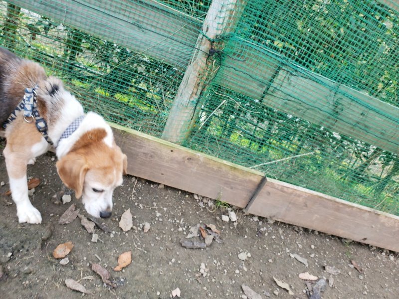f:id:roukenhome-ann:20191214072324j:plain f:id:roukenhome-ann:20191214072324j:plain