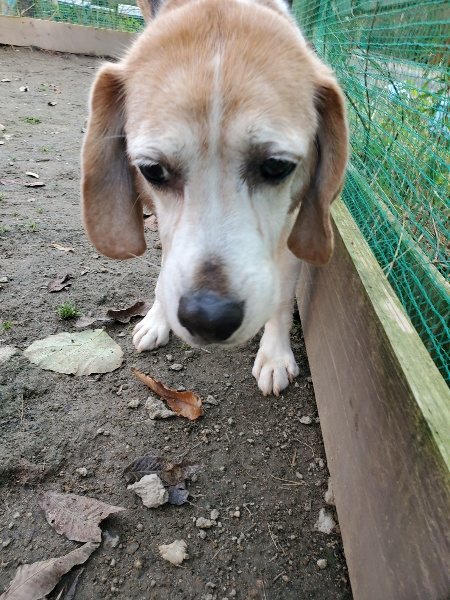 f:id:roukenhome-ann:20191214072334j:plain f:id:roukenhome-ann:20191214072334j:plain