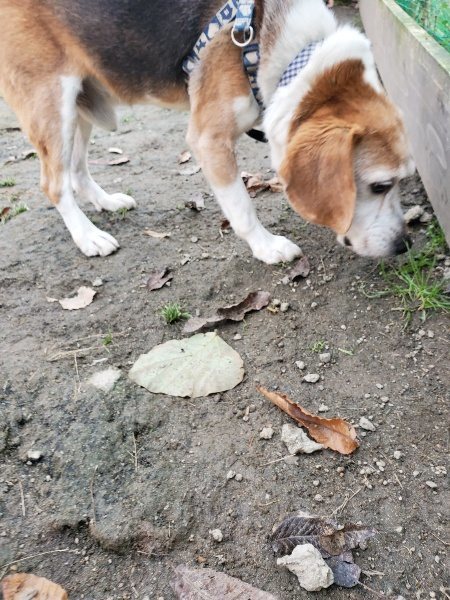 f:id:roukenhome-ann:20191214072351j:plain f:id:roukenhome-ann:20191214072351j:plain