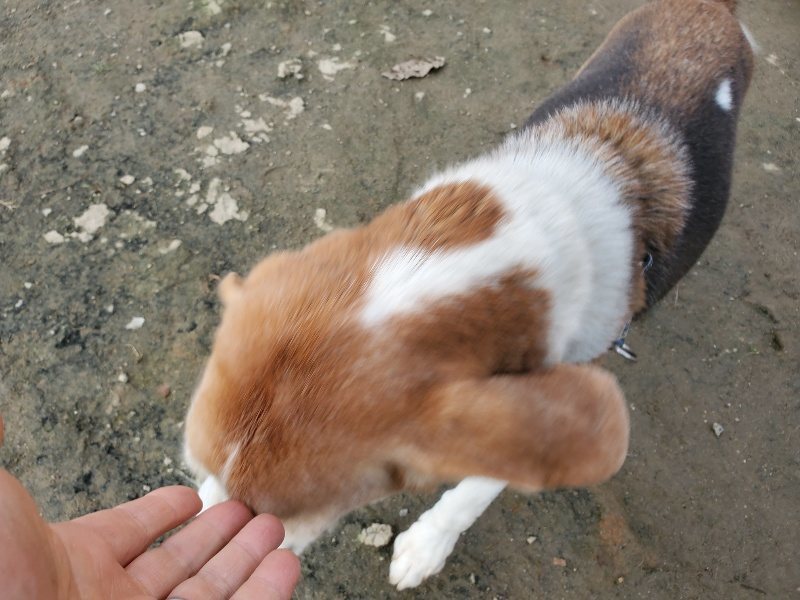 f:id:roukenhome-ann:20191214072431j:plain f:id:roukenhome-ann:20191214072431j:plain