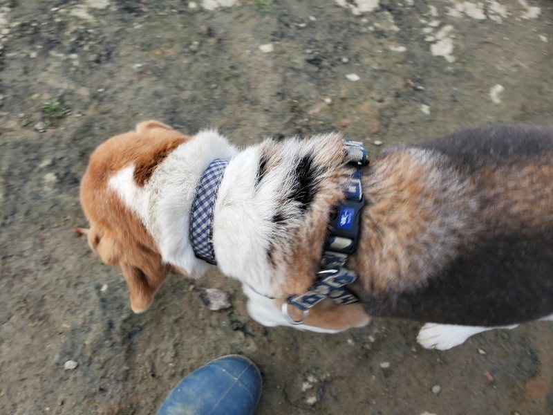 f:id:roukenhome-ann:20191214072449j:plain f:id:roukenhome-ann:20191214072449j:plain