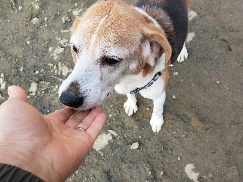 f:id:roukenhome-ann:20191214072507j:plain f:id:roukenhome-ann:20191214072507j:plain
