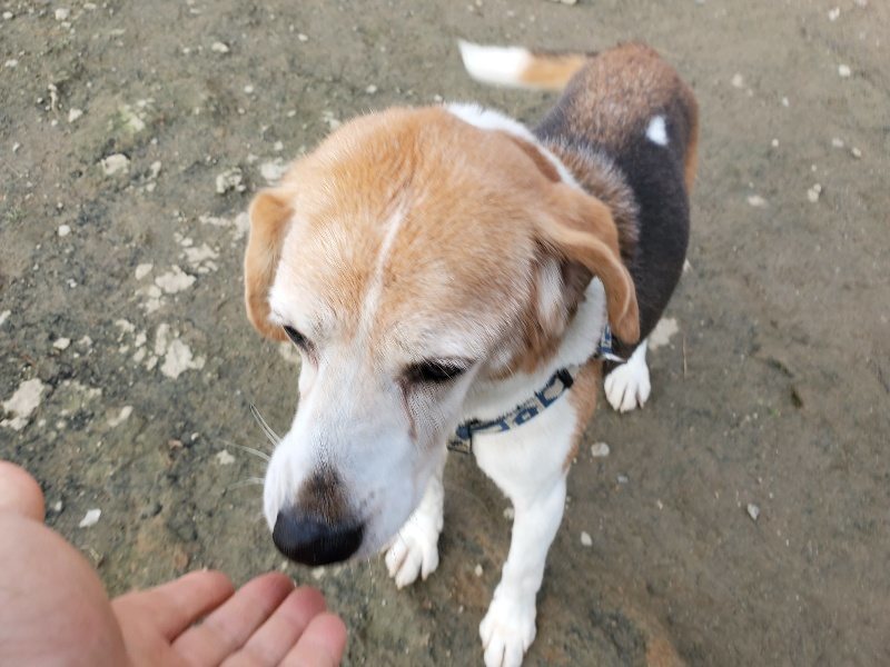 f:id:roukenhome-ann:20191214072518j:plain f:id:roukenhome-ann:20191214072518j:plain