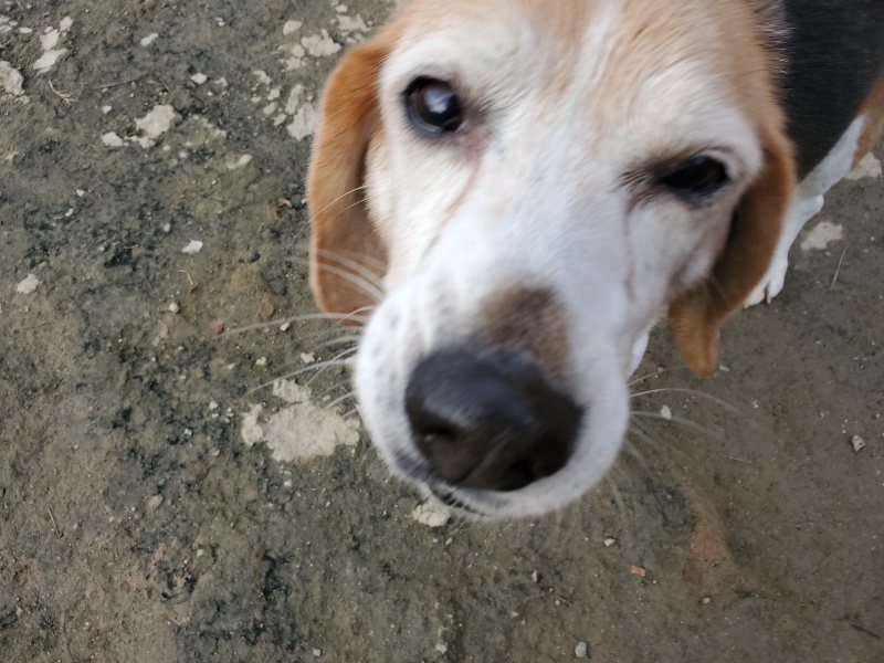f:id:roukenhome-ann:20191214072529j:plain f:id:roukenhome-ann:20191214072529j:plain