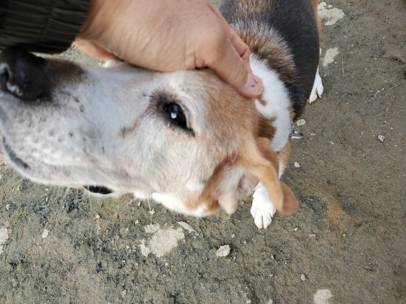 f:id:roukenhome-ann:20191214072546j:plain f:id:roukenhome-ann:20191214072546j:plain