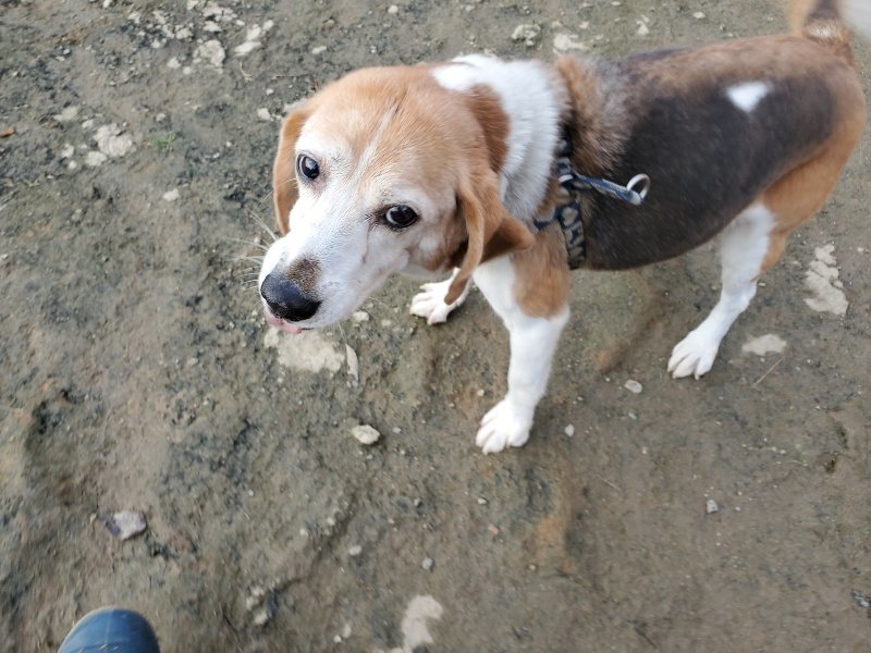 f:id:roukenhome-ann:20191214072556j:plain f:id:roukenhome-ann:20191214072556j:plain
