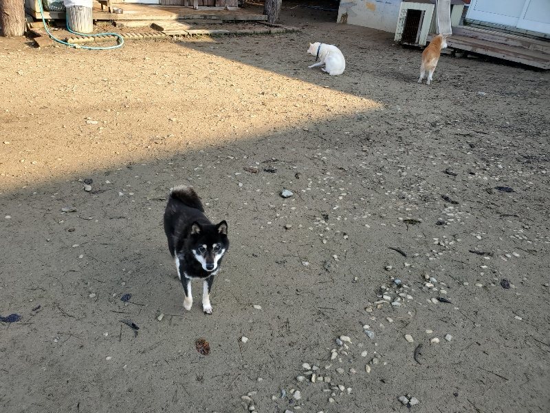 f:id:roukenhome-ann:20191214181457j:plain