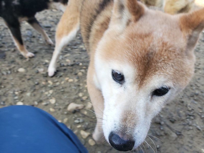 f:id:roukenhome-ann:20191214184141j:plain