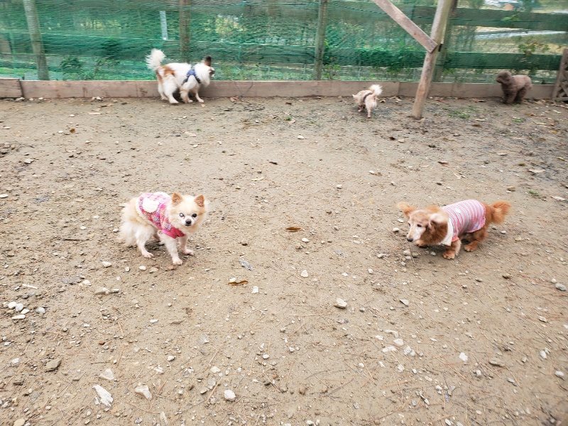 f:id:roukenhome-ann:20191215192538j:plain