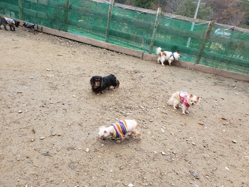 f:id:roukenhome-ann:20191215192815j:plain