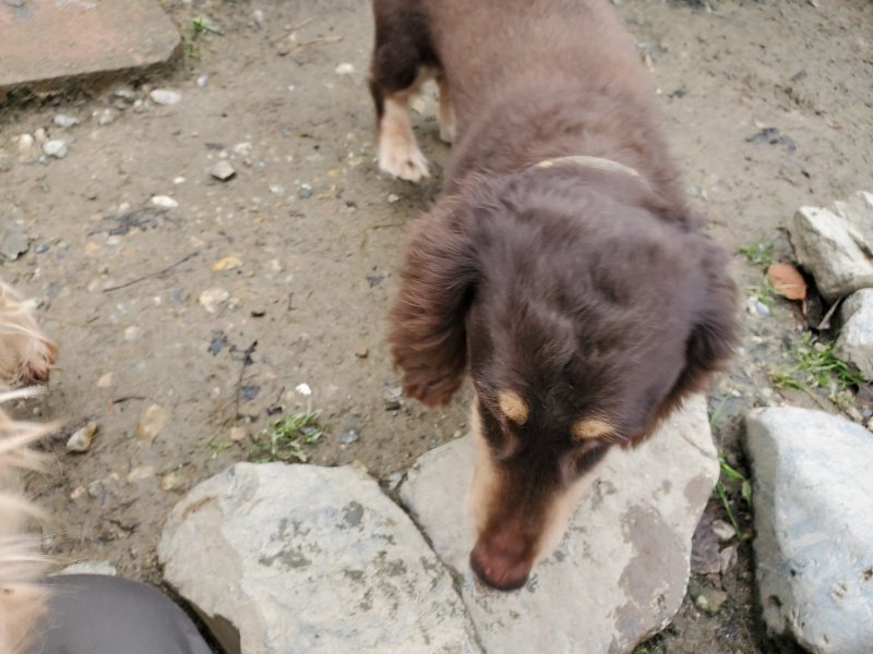 f:id:roukenhome-ann:20191215193718j:plain
