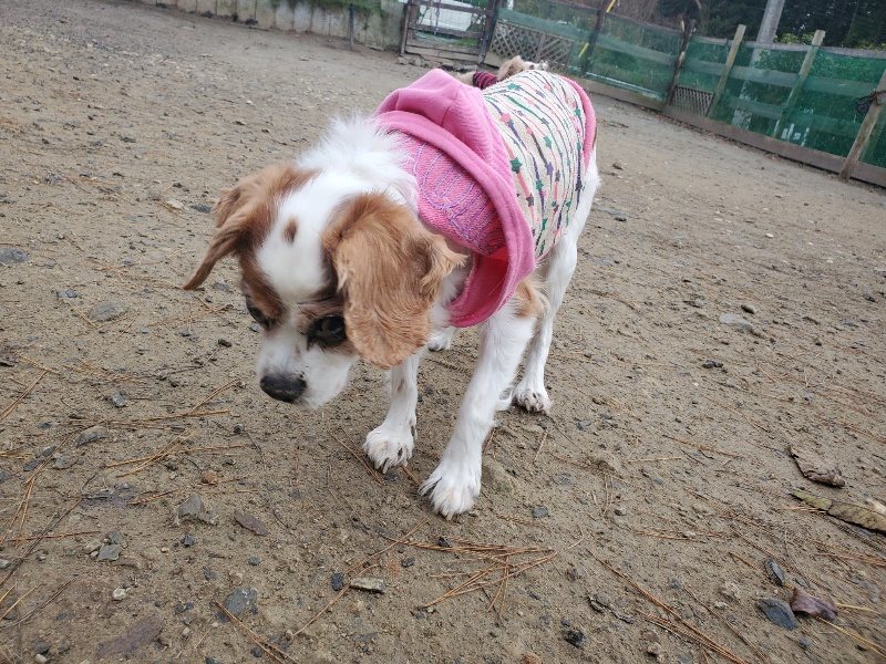 f:id:roukenhome-ann:20191215204920j:plain