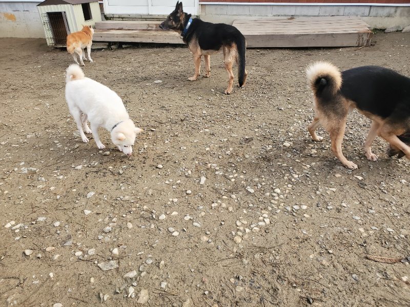 f:id:roukenhome-ann:20191216153625j:plain