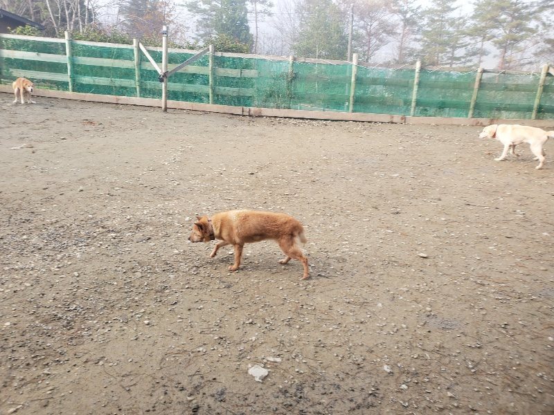 f:id:roukenhome-ann:20191216172421j:plain