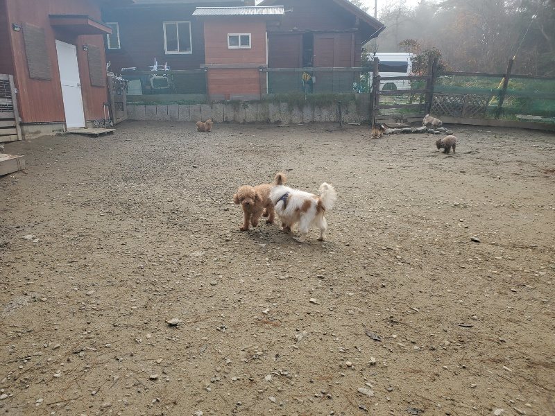 f:id:roukenhome-ann:20191216175137j:plain