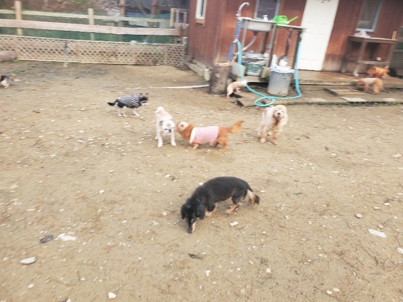 f:id:roukenhome-ann:20191216181245j:plain