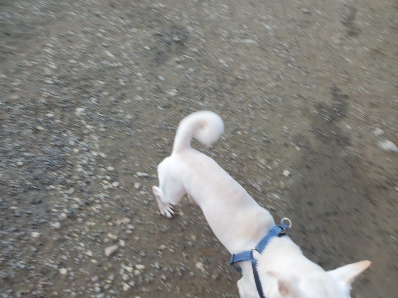 f:id:roukenhome-ann:20191217122912j:plain f:id:roukenhome-ann:20191217122912j:plain